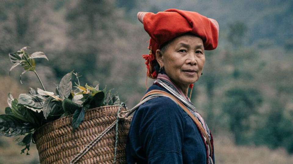 VIETNAM NORTHERN HIGHLIGHTS - Topas Travel - Vietnam