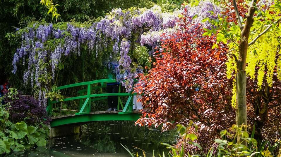 European Affair and Chelsea Flower Show - undefined - Image 2