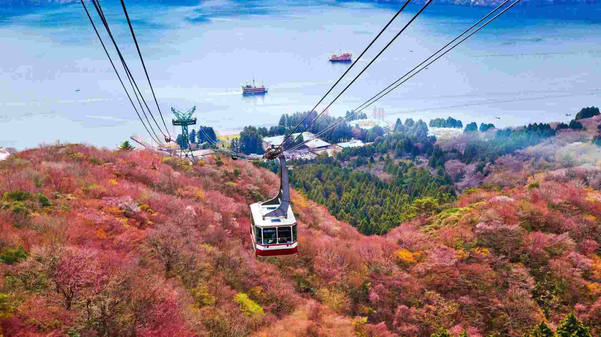Japan Cherry Blossom Highlights Tour