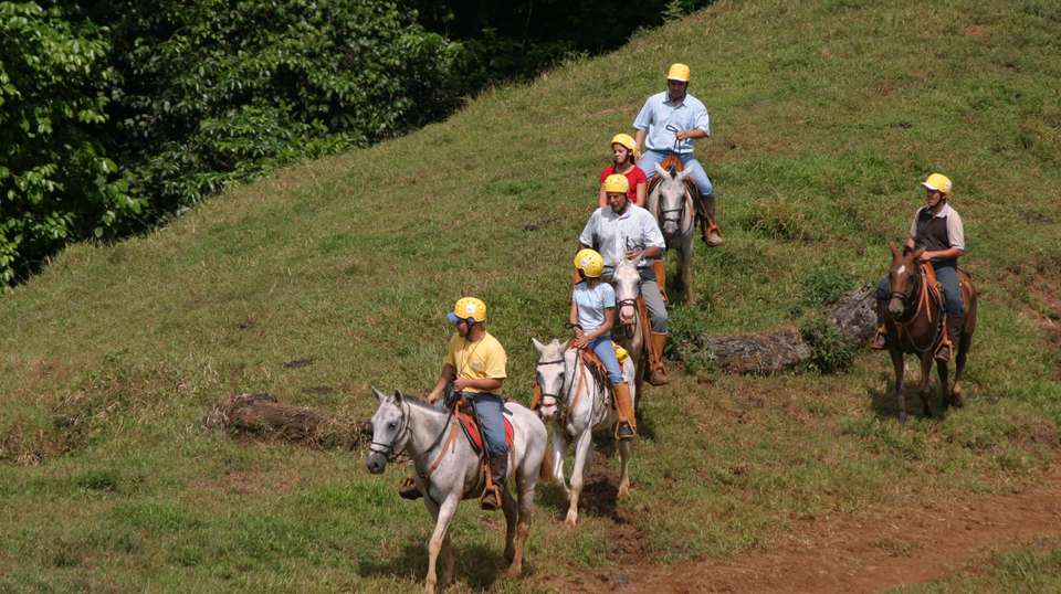 7 Days: Highlights of Costa Rica - Green World Adventures - Costa Rica - Image 6