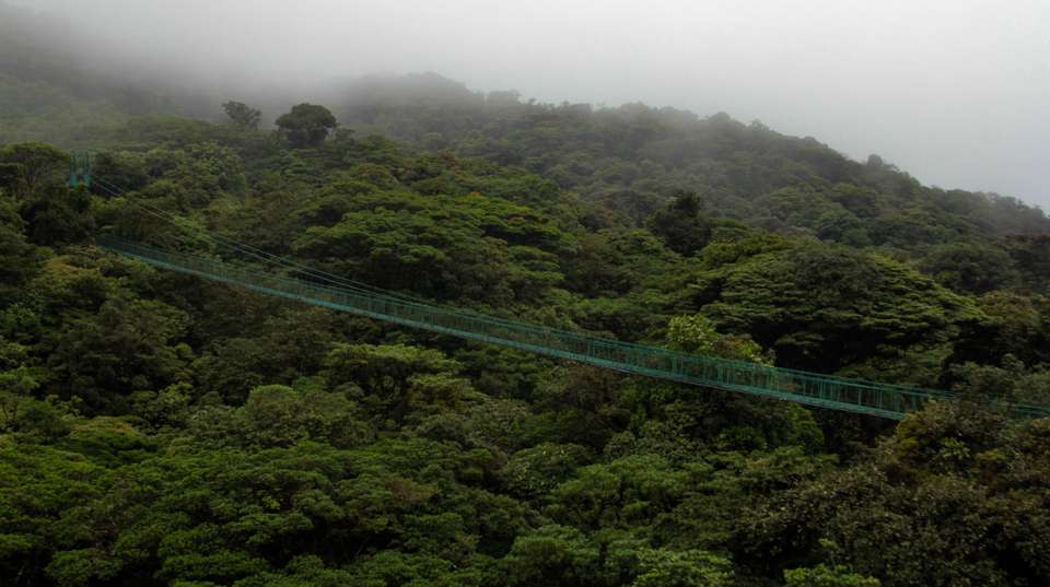 Raft, Hike and Explore Costa Rica - Green World Adventures - Costa Rica - Image 8