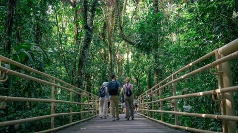 Rainforest, Volcano And Beach - October 2025