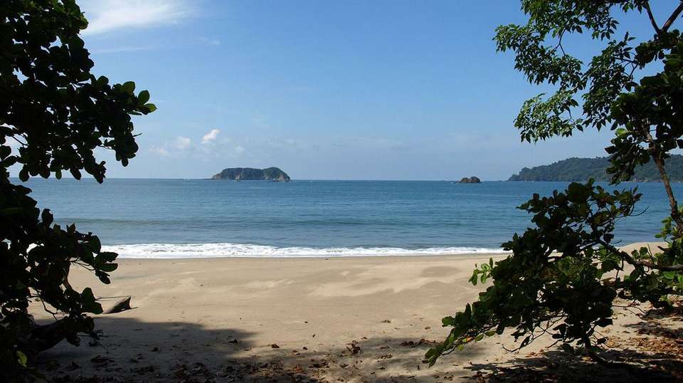 Rainforest, volcano and beach - undefined - Image 6