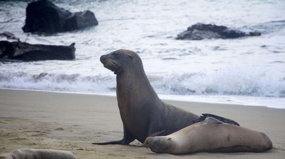 Nature and Culture in Ecuador - undefined - Image 5
