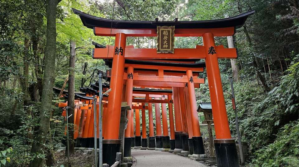 Japan Essentials – 9 Days - One Life Adventures Ltd - Japan - Image 14