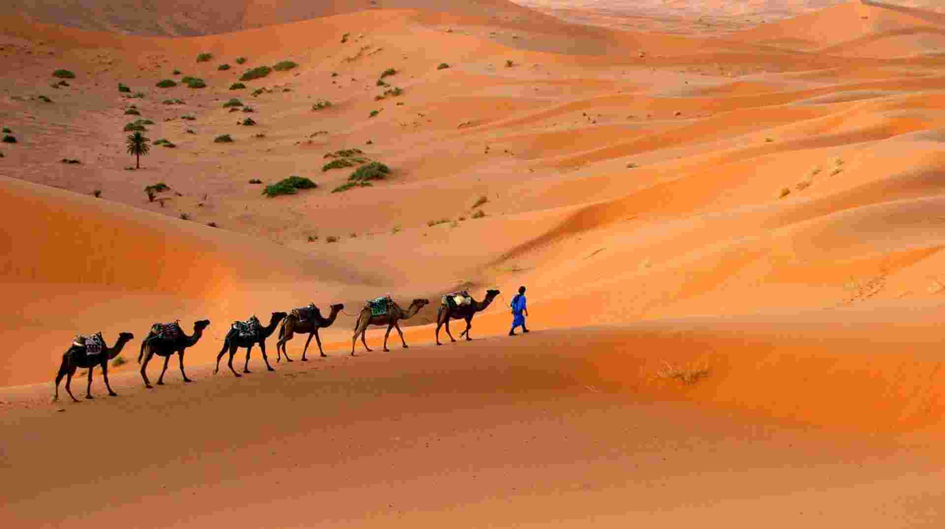 Morocco Kasbahs & Desert