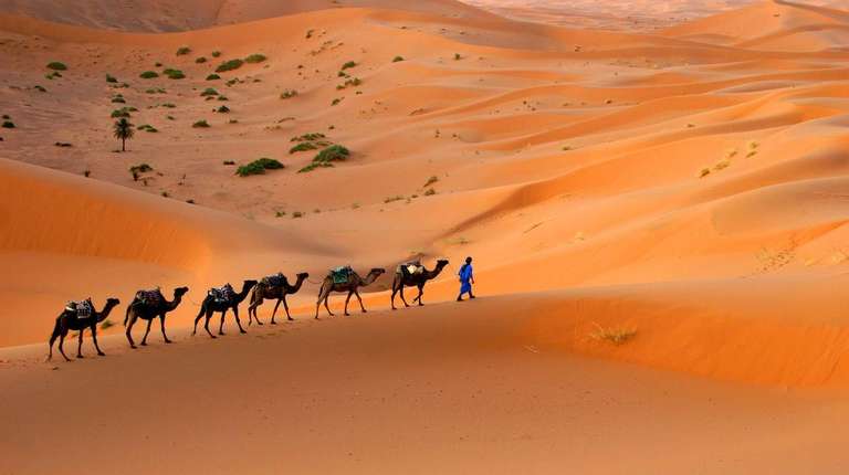 Morocco Kasbahs & Desert