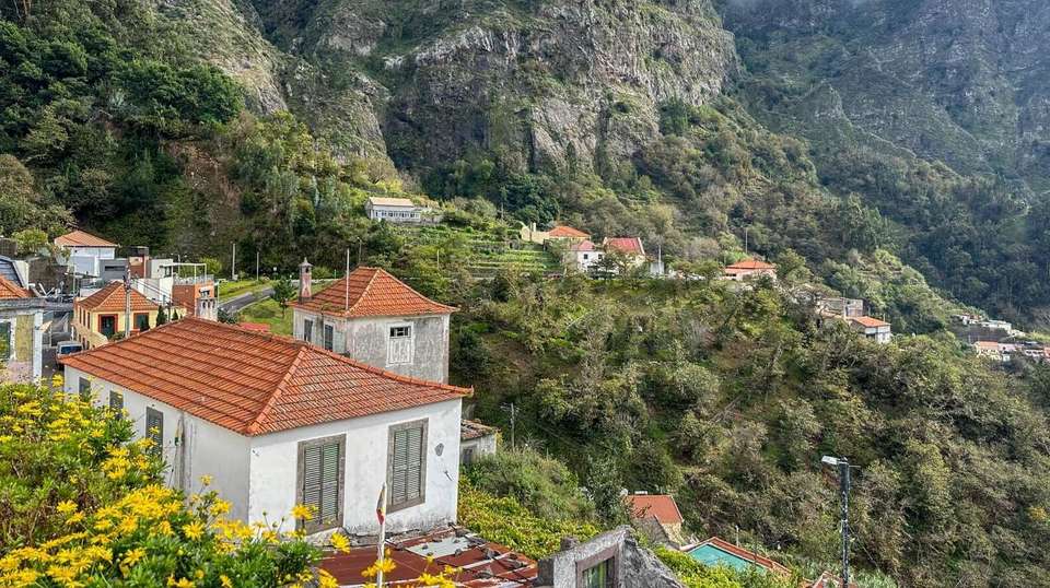 Gourmet Small-Group Tour of Madeira - Food, Wine & Nature - undefined - Image 11
