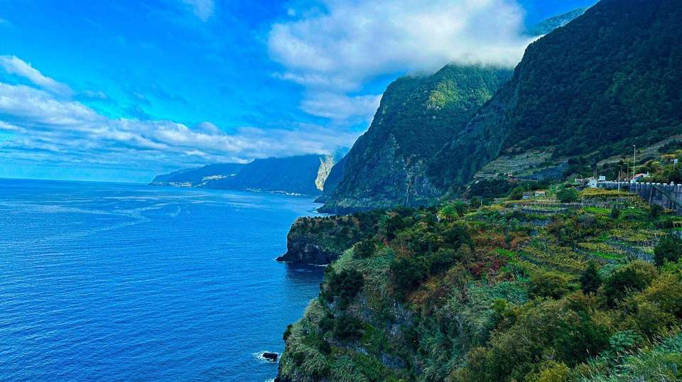 Gourmet Small-Group Tour of Madeira - Food, Wine & Nature - undefined - Image 9