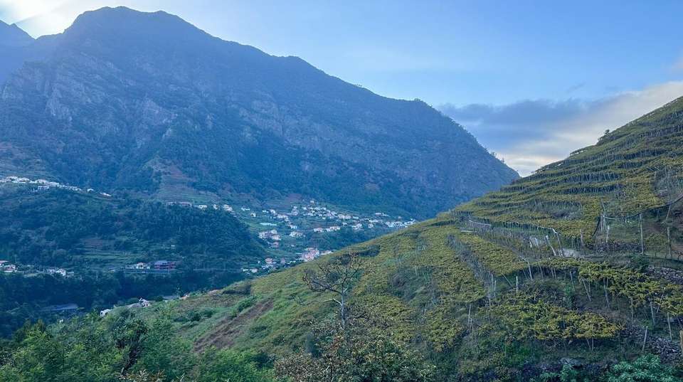 Gourmet Small-Group Tour of Madeira - Food, Wine & Nature - undefined - Image 3