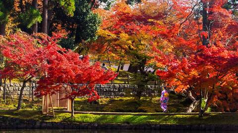 Discover Japan's Fall Foliage With Kumano Kodo - October 2025