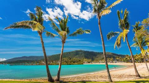 Oceania Snorkeling Tour: Tropical Queensland: Cairns To Gold Coast