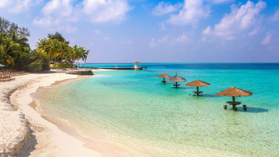 Delve Deep: Bali & the Gili Islands - undefined - Image 3