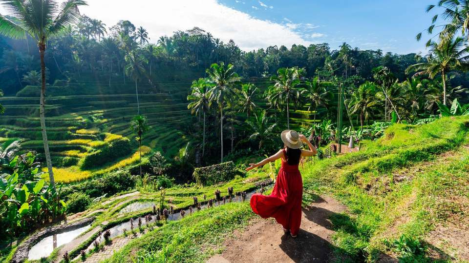 Delve Deep: Bali & the Gili Islands - undefined - Image 4