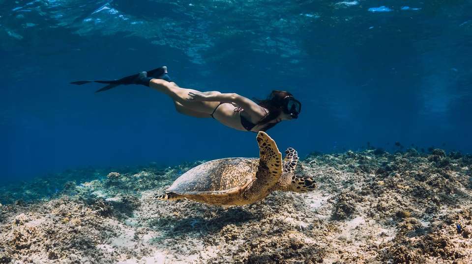 Delve Deep: Bali & the Gili Islands - undefined - Image 5