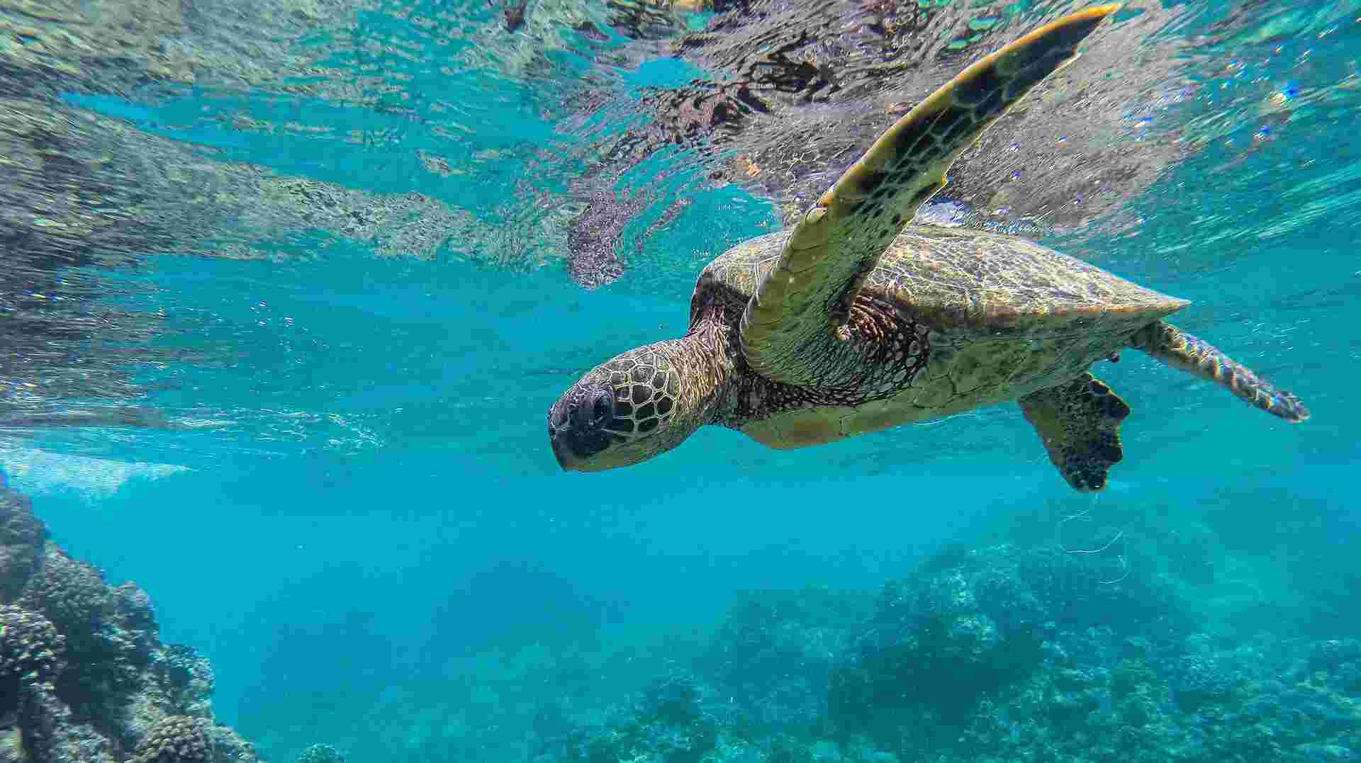 Mexico, Belize & Guatemala Adventure