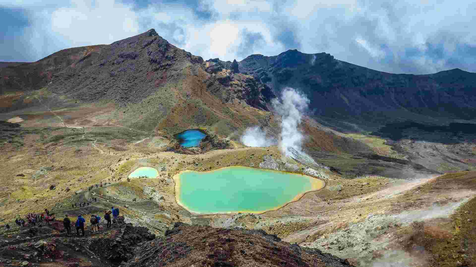 New Zealand's North Island Adventure