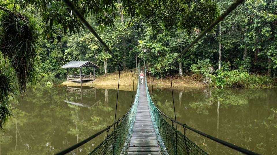 Borneo Adventure - Contiki - Malaysia - Image 4