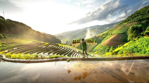 South East Asia Trekking And Hiking Tour: 9 Days Northern Vietnam: Sapa To Halong Bay