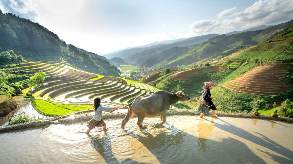 9 Days Northern Vietnam: Sapa to Halong Bay - Asia King Travel - Vietnam - Image 4