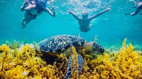Philippines Island Experience - October 2026
