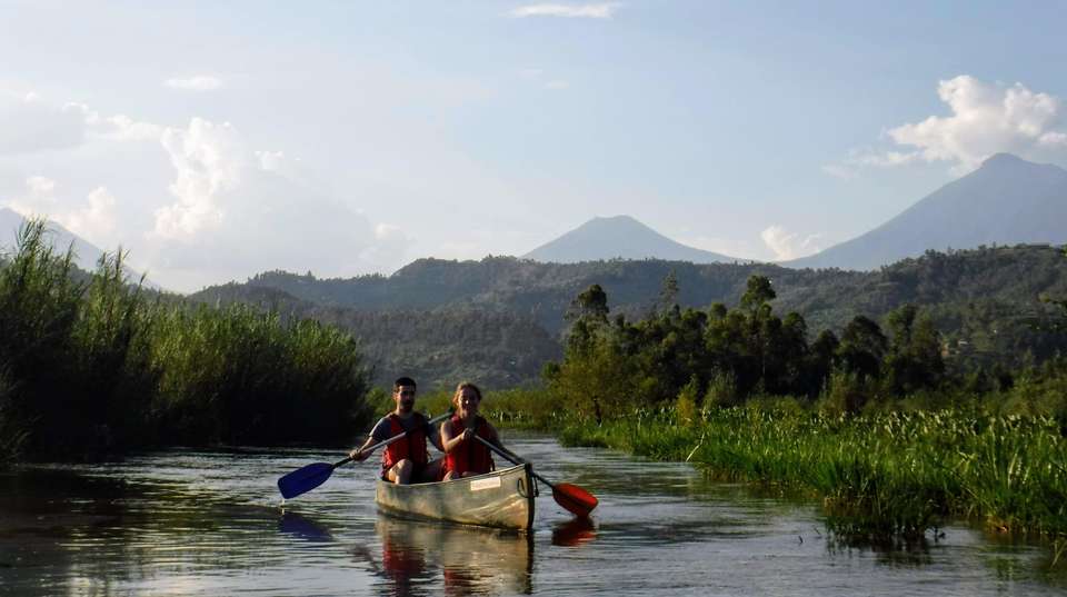 2-Day Gorilla & Golden Monkey Trekking Safari - Kingfisher Journeys - Rwanda - Image 3
