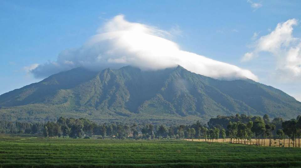 2-Day Gorilla & Golden Monkey Trekking Safari - Kingfisher Journeys - Rwanda - Image 4