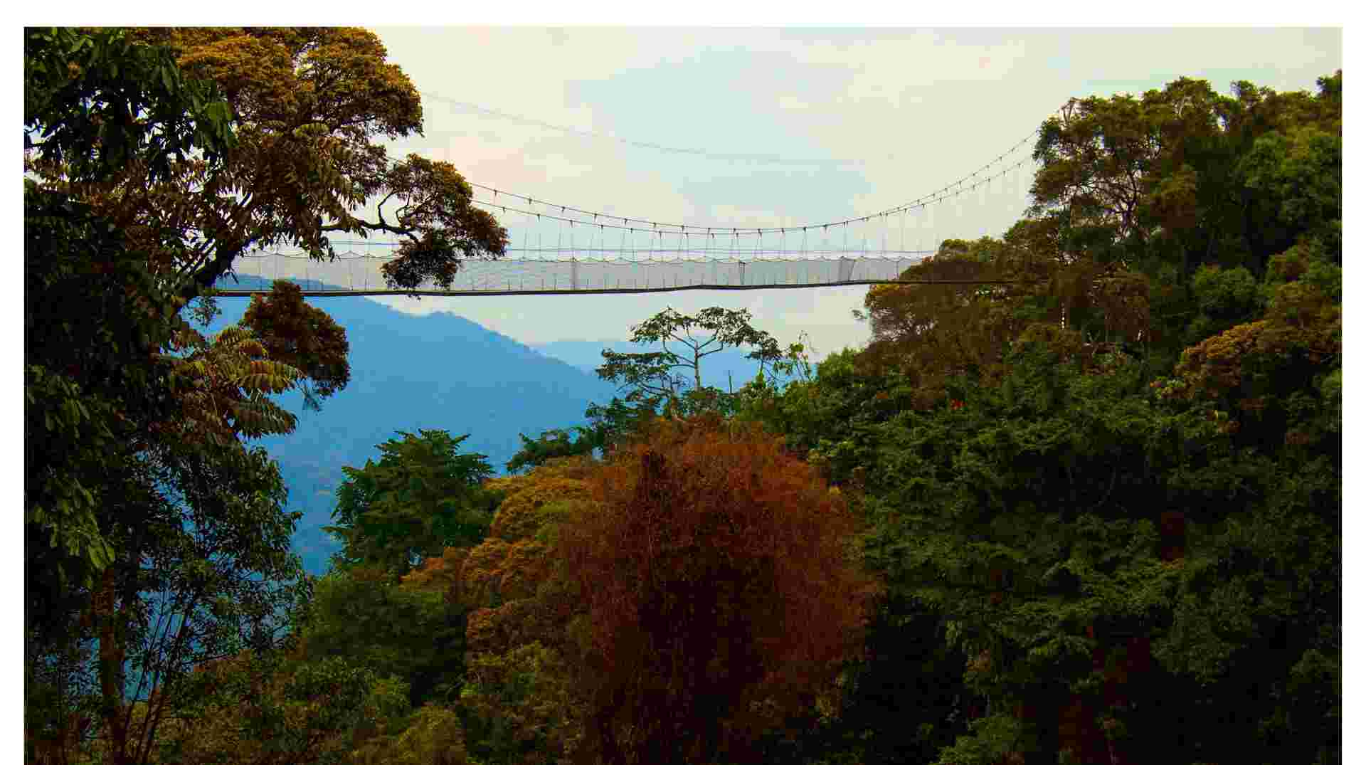 A Perfect Rwanda Wildlife & Scenic Escape