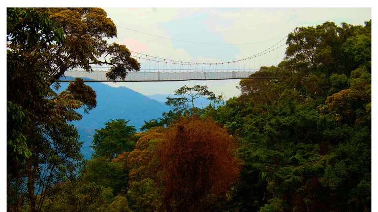 A Perfect Rwanda Wildlife & Scenic Escape - April 2026
