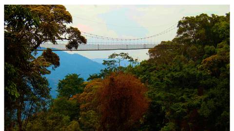 A Perfect Rwanda Wildlife & Scenic Escape - September 2025