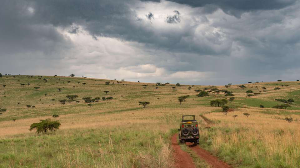 A Thrilling Big 5 Safari in Rwanda's Heartland - Kingfisher Journeys - Rwanda - Image 5