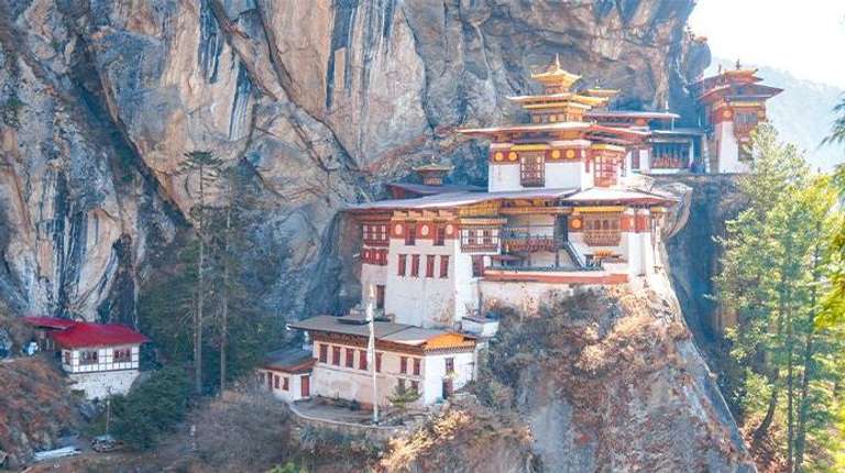 South Asia Bird watching Tour: 8-Day Bhutan Nature with Phobjikha Valley