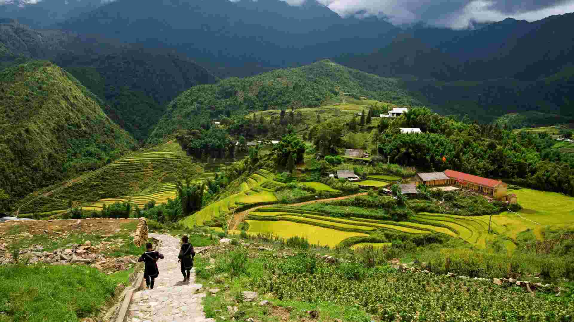 12-Day Cross Vietnam and Siem Reap Tour From Hanoi