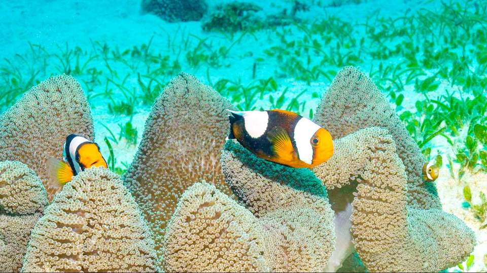 9-Day In-depth Palawan Group Tour - Asia Odyssey Travel - Philippines - Image 5