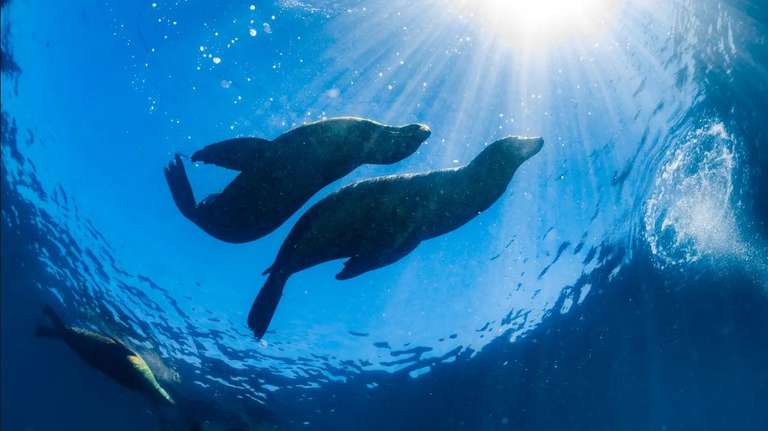 4 Days Galapagos Magic of Santa Cruz trip - alternative tour available