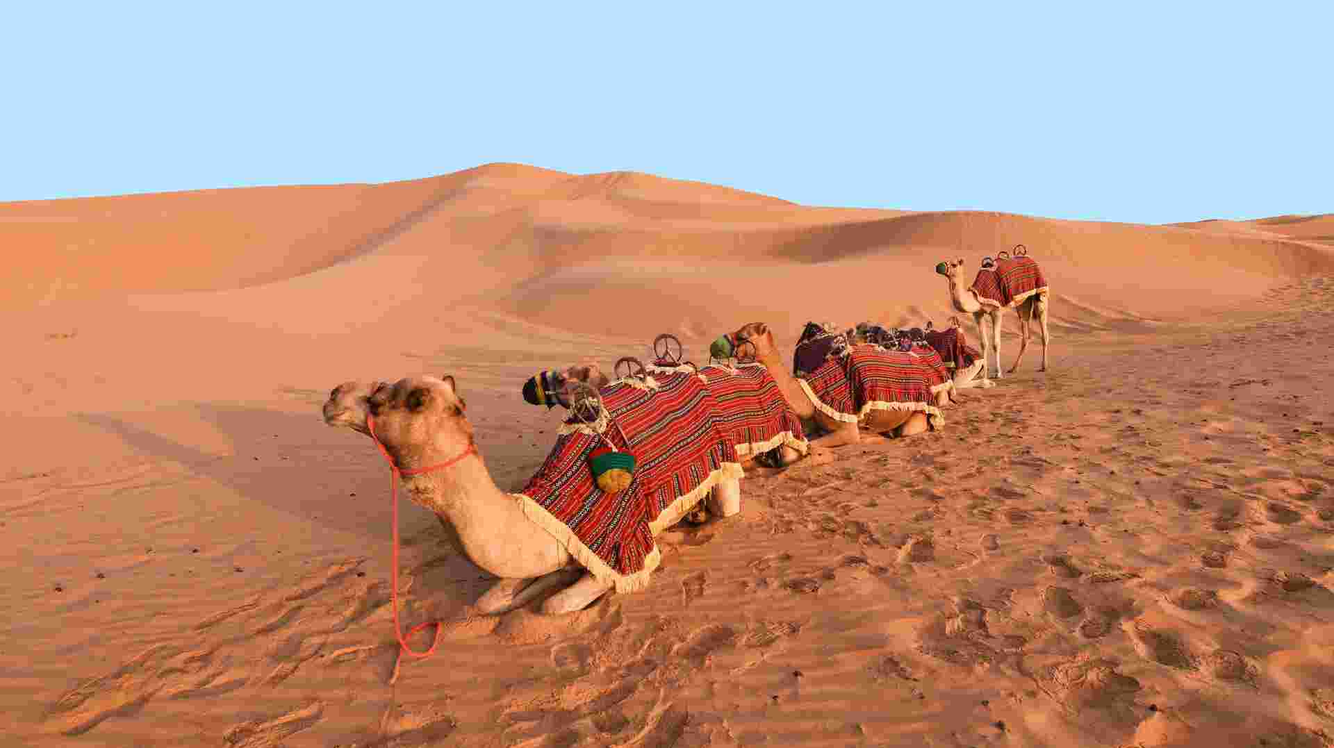 Abu Dhabi Overnight (5 Star) - 2 days
