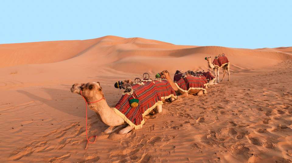Abu Dhabi Overnight (5 Star) - 2 days - undefined - Image 1
