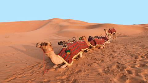 Abu Dhabi Overnight (5 Star) - 2 Days - Winter Tours