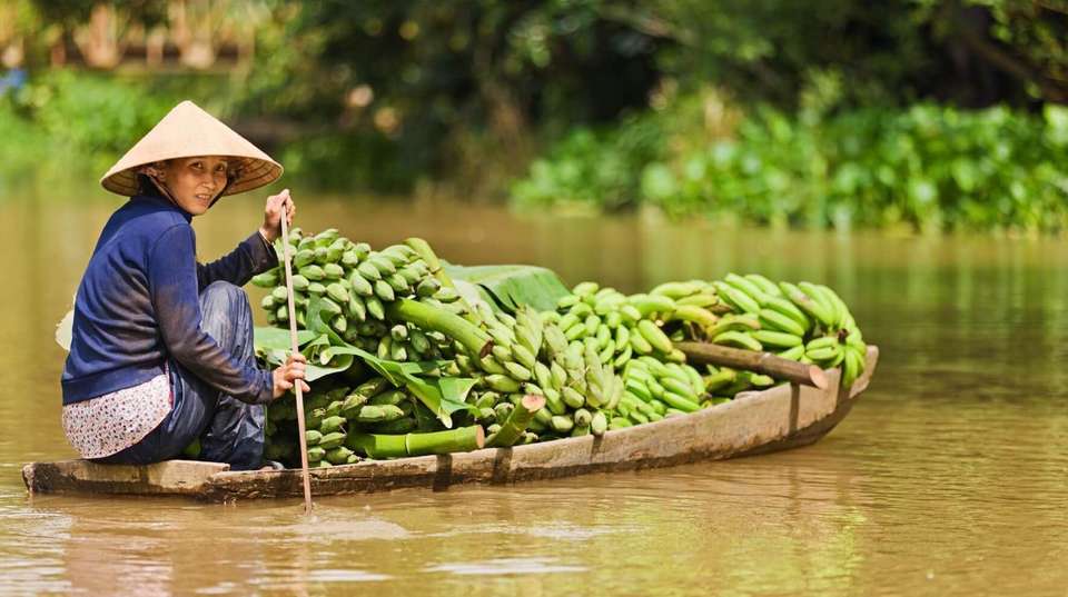 Explore Vietnam in 10 Days:A Perfect Adventure for Family - Az Local Trip - Vietnam - Image 7