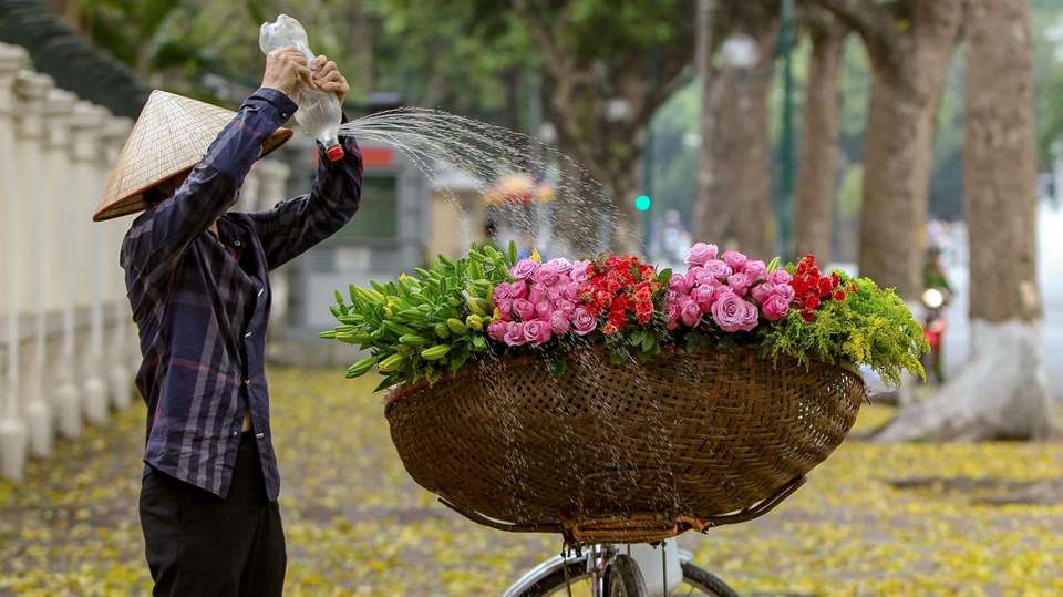 Explore Vietnam in 10 Days:A Perfect Adventure for Family - Az Local Trip - Vietnam - Image 4