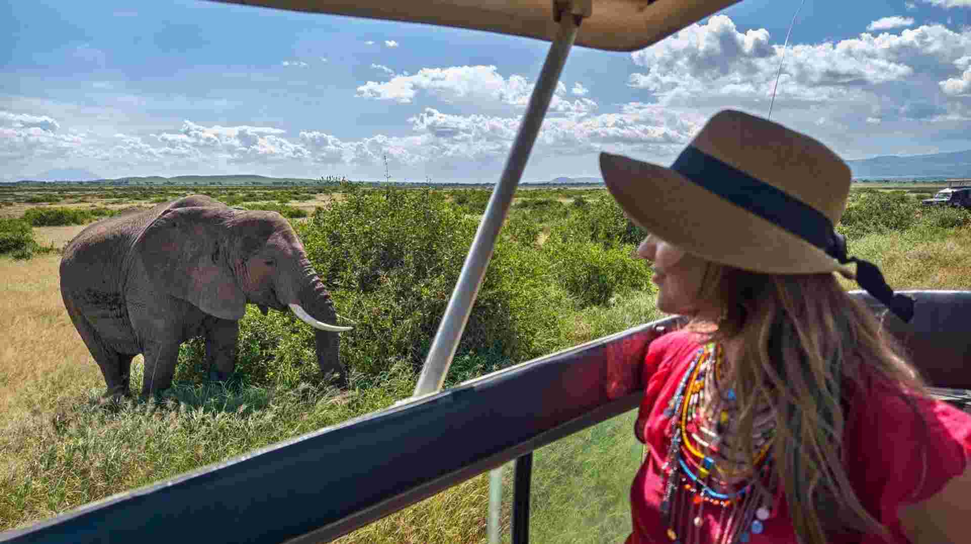 Journeys: Explore Cape Town & Kruger National Park