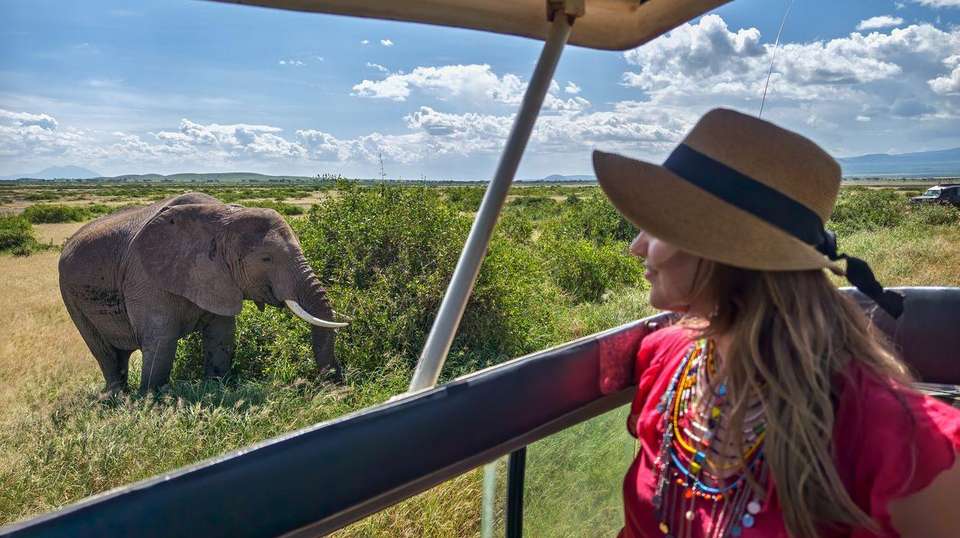 Journeys: Explore Cape Town & Kruger National Park - G Adventures - South Africa - Image 1