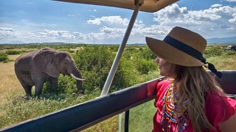 Journeys: Explore Cape Town & Kruger National Park