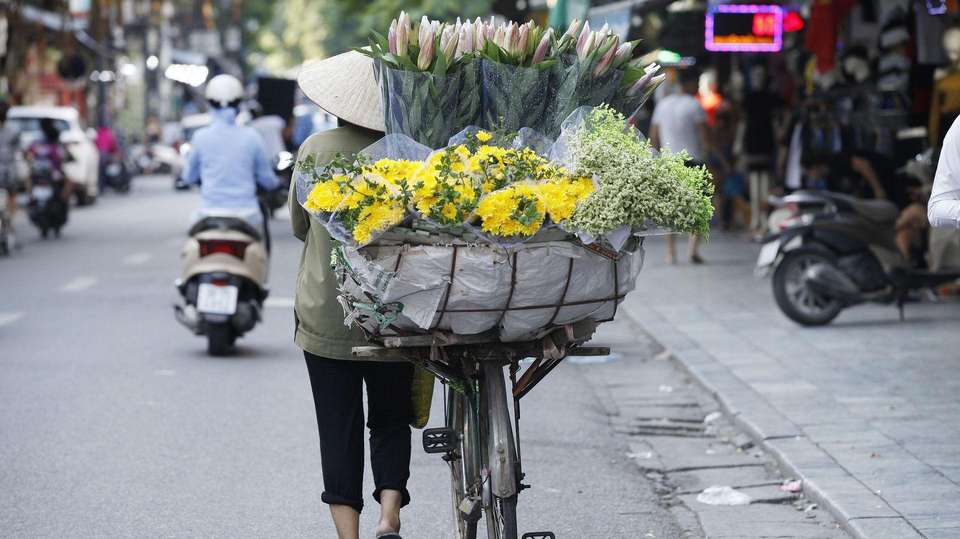 Vietnam Hidden Charm in 8 Days – Super Deal - Vietnam Amazing Tours - Vietnam