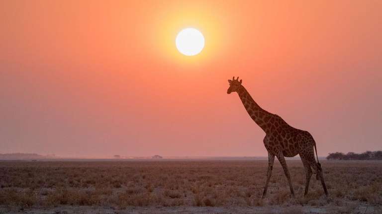 Cape to Delta Safari Reunion 35 to 45 trip - alternative tour available