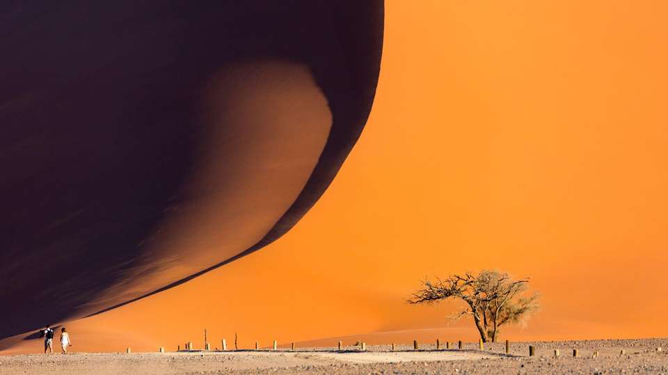 Okavango Delta and Deserts 35 to 45 - Contiki - Botswana - Image 1
