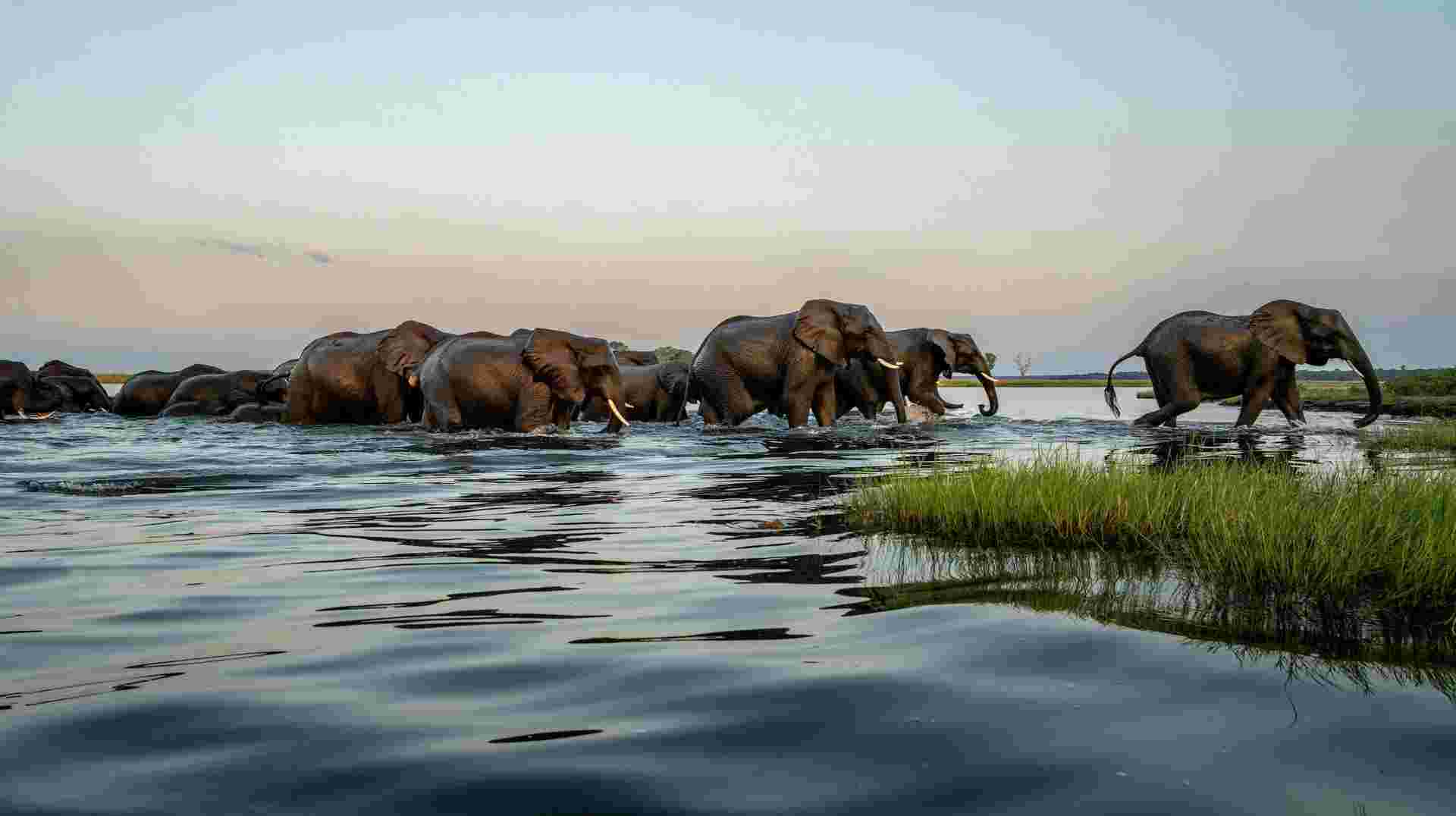 Victoria Falls and Botswana Reunion 35 to 45