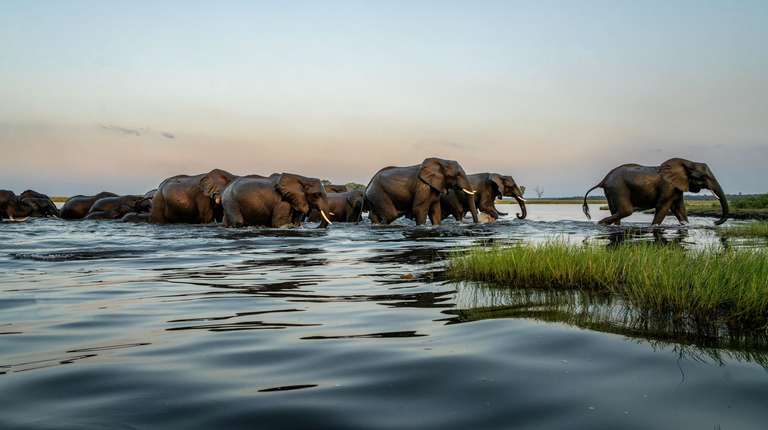 Victoria Falls and Botswana Reunion 35 to 45 trip - alternative tour available