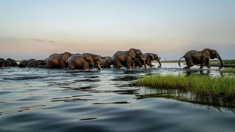 Victoria Falls and Botswana 35 to 45 - Contiki - Zimbabwe - Image 1