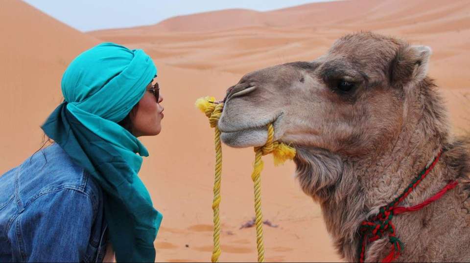 7 Days Morocco Imperial Tour And Sahara Desert Adventure  - Voyagiste Maroc - Morocco - Image 4